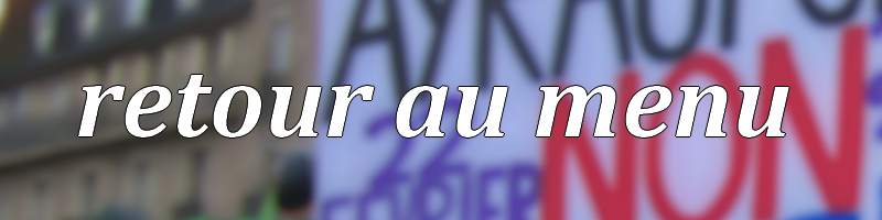 Menu - Bandeau Nantes NDDL - La Déviation