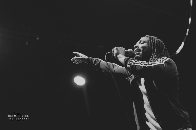 Festival du Bout du Monde 2014 The Wailers - C Nicolas Le Gruiec - La Déviation